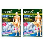 バンテリン 高通気膝サポーター シルバーグレー 左右兼用2枚組 両足分 ひざサポーター 膝 サポーター 興和