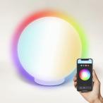 ?アイオーイー(iO.e) LEDスマー
