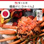  Echizen ..(...)[1.0~1.1kg]