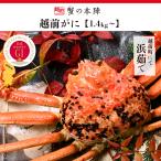  Echizen ..(...)[1.4kg~]