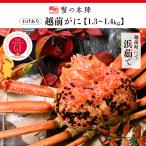 wa. есть Echizen ..(...)[1.3~1.4kg]