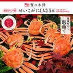 se....(...)[ большой ] 5 кубок комплект 