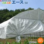 ダイヤテックス　ハウス用遮熱資材　ふあふあエース50　遮熱剤入り特殊層　遮光率50％　幅660cm　長さは数量で指定(※1m単位)