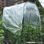 菜園用　雨よけセットA　1m×2.1m　トマト　野菜　雨よけシートセット