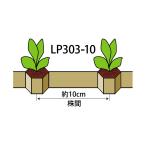 �j�b�e���@�����O�s�b�`�`�F�[���|�b�g�@LP303-10�@�a3cm�~��3cm�@����10cm�@����264�@1���@�l�M �L�N �Ԃ���