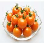 果菜の種