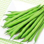 根菜、豆類、もやしの種