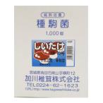 [.. . вид пешка .]. река .....KM-10 номер (1000 пешка )< средний низкотемпературный .> весна * осень type вид .