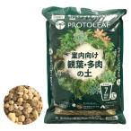 プロトリーフ室内向けの観葉・多肉の...