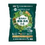 プロトリーフ室内向けの観葉・多肉の...
