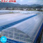 タキロンシーアイ　霧抑制農ビ スカイ8防霧　屋根ビニール　間口3間×奥行8間　厚さ0.13mm　幅660cm×長さ19m