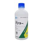  выставка надеты . UGG la-500ml