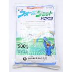 フォーカスショットジャンボ　500g