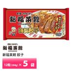 20%オフ 数量限定 訳あり 京都 新福菜館監修 特製餃子×12個入り 5袋セット 送料無料 冷凍 人気 お得セット ぎょうざ ギョウザ 賞味期限:2025年6月28日