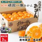  мандарин .. Wakayama время ограничено .. один . мандарин .. товар для 3kg красный превосходящий товар бесплатная доставка выгода прямая поставка от производителя ..arugito сельское хозяйство закон . сверху .. редкий высококлассный подарок. . соответствует не возможно 