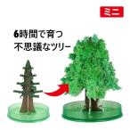 クリスマスツリー 卓上 マジッククリスマスツリー ミニサイズ マジックツリー