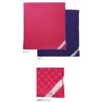  большой Akira план предотвращение бедствий голова ширина для call небо покрытие большой голубой подушка для сидения тип одноцветный примерно 32×36cm 417-01