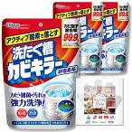 カビキラー 洗濯槽クリーナー 洗濯槽カビキラー 酸素系粉末タイプ 250g×3本 お掃除用手袋つき カビ取り 除菌 洗濯機