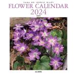  календарь 2024 FLOWER CALENDAR цветок календарь ( неделя ...* dia Lee / настольный * кольцо ) (yama Kei календарь 2024)