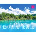 ..!... 4 сезон север. большой земля Hokkaido календарь 2025( месяц .../ орнамент ) ( кошка *pa желтохвост sing) ( календарь серии )