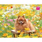 ショッピングカレンダー I LOVE ポメラニアンカレンダー 2026（月めくり/壁掛け）(ネコ・パブリッシング) (カレンダー2026) (カレンダーシリーズ)