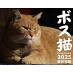 ボス猫カレンダー2025 ([カレンダー])