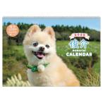 2026年カレンダー 俊介