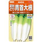 サカタのタネ 実咲野菜5002 夏秋どり青首大根 献夏青首 00925002