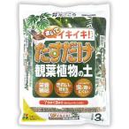  цветок ..... только декоративное растение. земля kobae предотвращение * питание ..3L