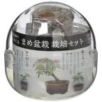 . новый керамика ... Capsule .. бонсай размер : примерно φ70 H65 GD-954