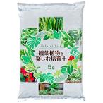  природа отвечающий для наука декоративное растение . приятный cубстрат 5L салон предназначенный вода. .. хороший 