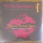 TRUE KISS DESTINATION (小室哲哉+吉田麻美)　PRECIOUS MOMENT REMIX Remixed by Kenny"Dope"（中古邦楽12インチシングル）
