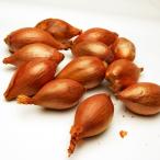 エシャロットフランス産約1Kgフラ...