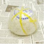 白カビチーズ ギャプロン 約350g 毎週水・金曜日発送