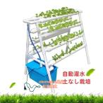 水耕栽培キット野菜栽培キットすいこ...