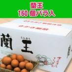 『蘭王』160個バラ入