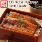 ショッピングうなぎ 父の日 国産うなぎ蒲焼き うな重 セット ギフト 送料無料 うなぎ 蒲焼き お取り寄せ 母の日 父の日 中元 お中元 御中元 歳暮 お歳暮 御歳暮