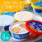 高知アイス 人気詰め合わせセット 10個 オリジナルセット 御歳暮ギフト