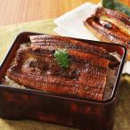 うな侍 3尾 モンドセレクション最高金賞 うなぎ 鰻 かば焼き蒲焼き 約140g×3尾 タレ 山椒 小袋付 冷凍 お取り寄せ 送料無料