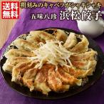 ショッピング契約 浜松餃子 五味八珍 (14個×4P）送料無料 地元で40年以上愛される