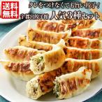 宇都宮餃子館人気の3種セット 送料無料 48個(16個×3種)