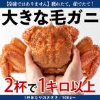 【条件付き送料無料】浜茹で毛ガニ（合計1.5kg以上/大サイズ3杯）冷蔵 宮城県産 数量限定 季節限定 ボイル済み 父の日ギフト