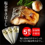 【条件付き送料無料】塩金華さば昆布干し（5枚）冷凍 グルメ 年末