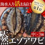 宮城県産 天然 活エゾアワビ（3個/300〜390g）刺身 ステーキ クール便【条件付き送料無料】