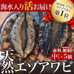 宮城県産 天然 活エゾアワビ（5個/500〜650g）刺身 ステーキ クール便【条件付き送料無料】
