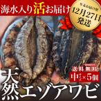 【条件付き送料無料】年末12/28出荷◎宮城県産 金華山の天然活エゾアワビ（5個）冷蔵