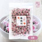 塩飴 熱中症対策 国産 梅 梅干し 個包装 飴 おやつ 塩キャンディー 梅味 240g 2袋