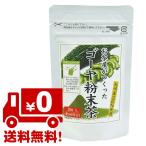 ゴーヤ 粉末茶 国産 ニガウリ パウダー 夏バテ 防止 野菜 手軽 健康茶 ポスト便込