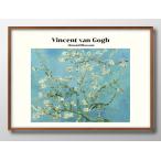 ポスター 12701 フィンセント・ファ