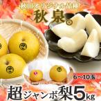 秋田県産 梨 秋泉 5kg 6-10玉入 糖度15度の甘いナシ 出荷期間9月下旬〜10月上旬